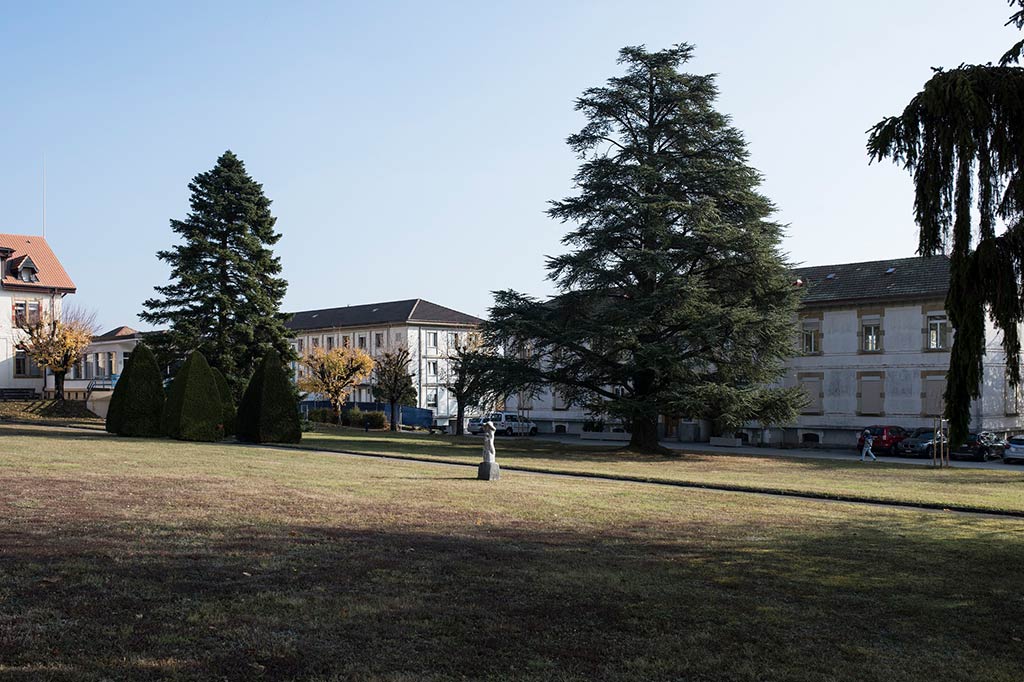 Ein grosser Park mit alten Bäumen und im Hintergrund verschiedene Gebäude, in denen die Asylsuchenden leben.